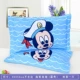 Hàng hóa bông gối bông trẻ em phong bì cartoon Mẫu giáo sinh viên gối 30x50 gối bao gồm một cặp - Gối trường hợp gối