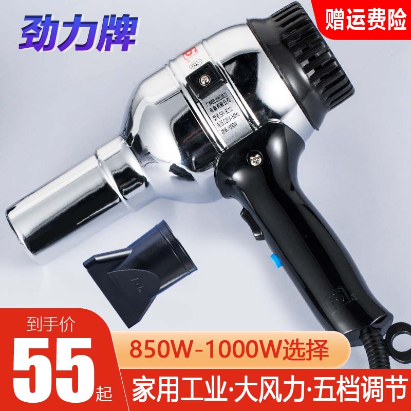 Stiff Force Card 9212 Blower Metal Iron Shell Stainless Steel High Power 1000W Cold Hot Air Home Hair Dryer