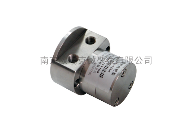 Stainless Steel Gear Pump G306XK G312XK G317XK Miniature Gear Pump Head Miniature Water Pump High Temperature Oil Pump