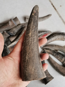 Natural Solid Handicraft Carving Seal the Point of Ox Horns