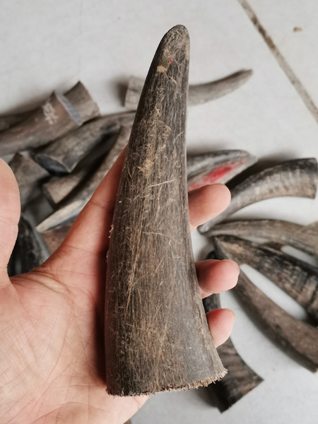 Natural Solid Handicraft Carving Seal the Point of Ox Horns