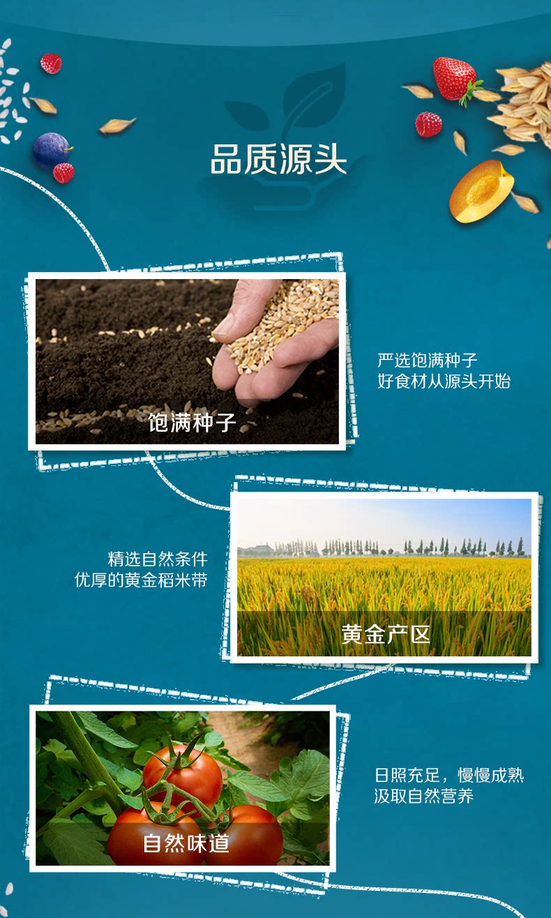 Gerber-PDP-цвета фруктовой рисовой лапша_02.png