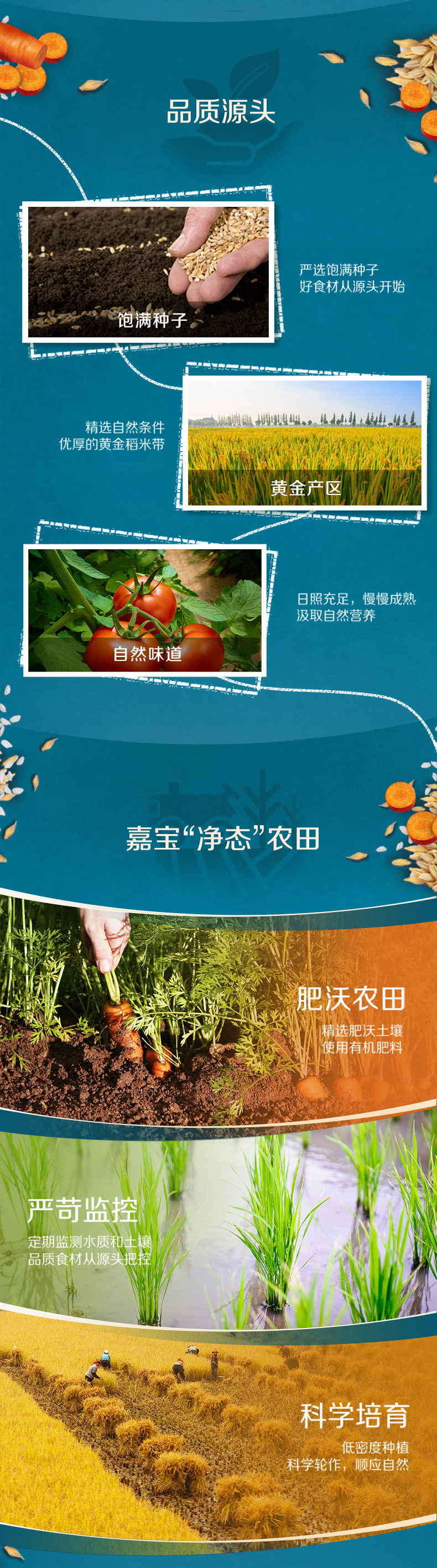 Gerber-PDP-Carrot Rice Noodse_02.jpg