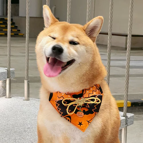 Слюнявчик с бантиком, регулируемый шарф, xэллоуин