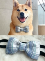 Синяя морская соль