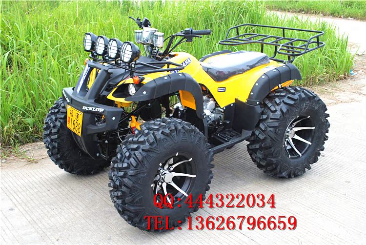 150CC-250CC lớn bull ATV 12 inch bốn bánh off-road xe máy ổ trục với sự khác biệt