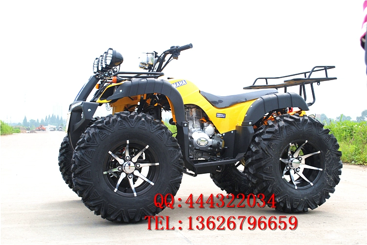 150CC-250CC lớn bull ATV 12 inch bốn bánh off-road xe máy ổ trục với sự khác biệt