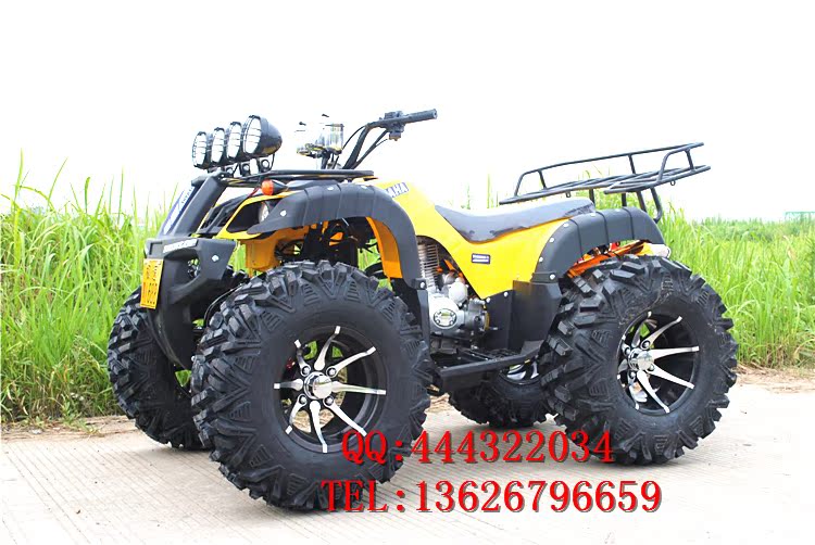 150CC-250CC lớn bull ATV 12 inch bốn bánh off-road xe máy ổ trục với sự khác biệt