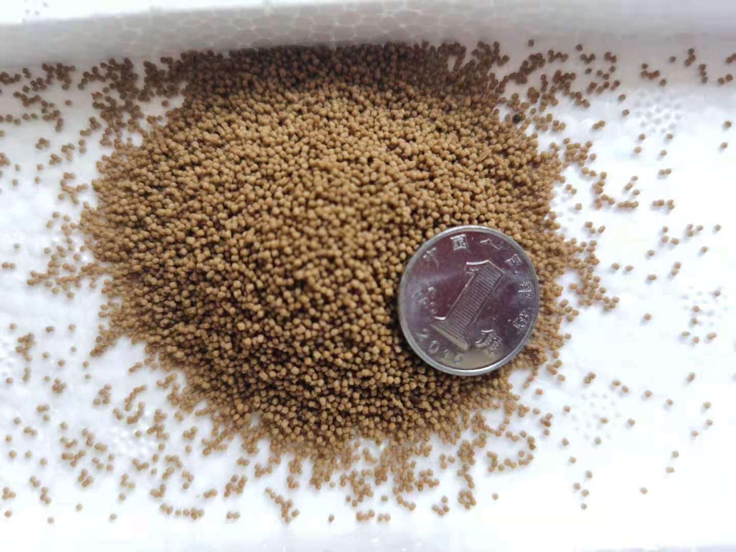 Homemade shrimp food Shrimp feed Koi goldfish Peacock zebrafish food Fish feed Color supplement calcium slow sedimentation feed