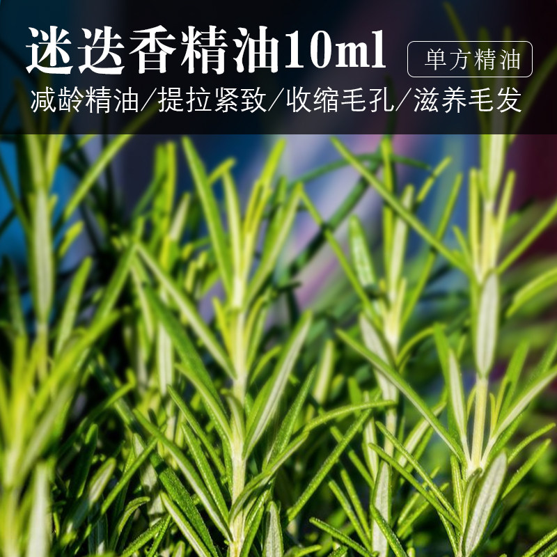 Rosemary essential oil 10ml compact skin aroma massage essential oil for hair care cleaning plants natural unilateral essential oil