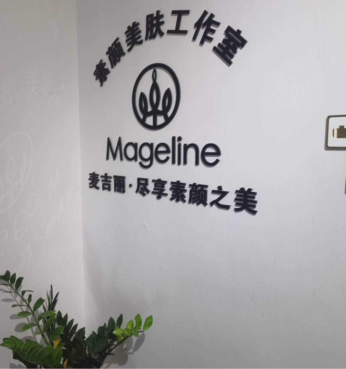 麦吉丽颜姿美肤工作室的LOGO