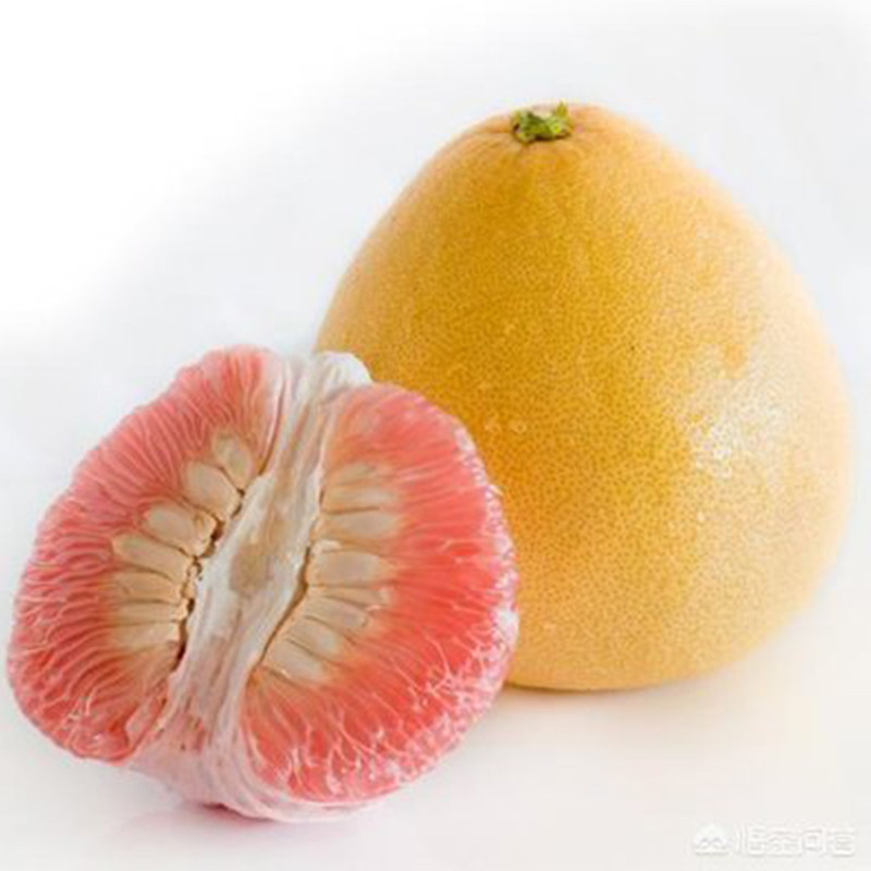 马家优选