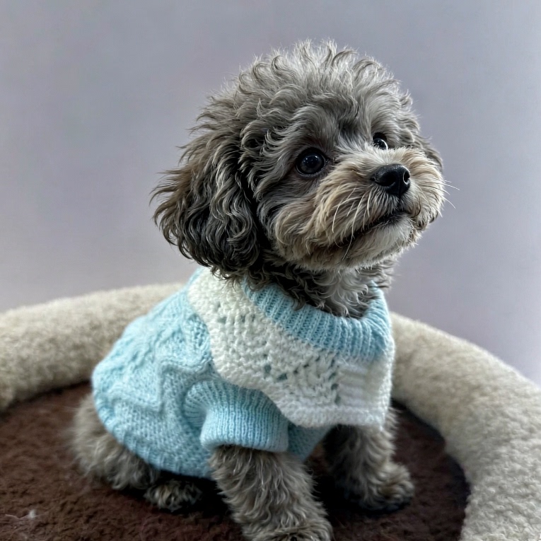 Dog Sweater Autumn and Winter Warm Knitwear Small Dog Teddy Bichon Pet Clothing Blue Cable Knit Dog Sweater Autumn and Winter Warm Knitwear Small Dog Teddy Bichon Pet Clothing Blue Cable Knit