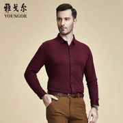 Youngor Youngor mùa xuân kinh doanh bình thường mô hình tinh tế của nam giới Mercerized dài tay áo T-Shirt 4097