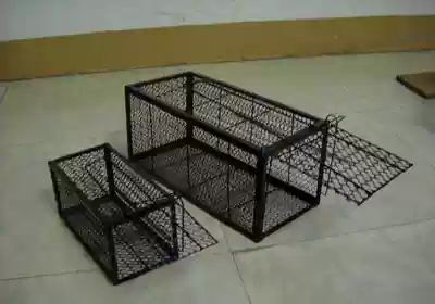 Ice bag foam box Transport cage