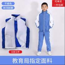 Shenzhen school uniform primary school students vest men and women cotton vest thickened winter cotton vest warm windproof and cold resistant fabric