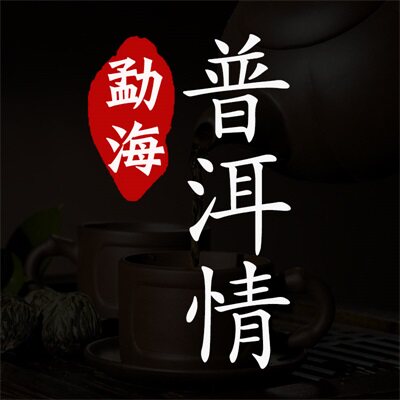 勐海普洱情