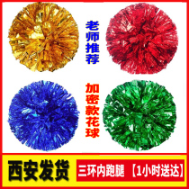 Flower Ball Cheerleaders Holding Flowers Cheerleaders Hold Flowers Cheerleaders Hold Flowers Dance Cheerleading Flower Ball Dance Props Performance