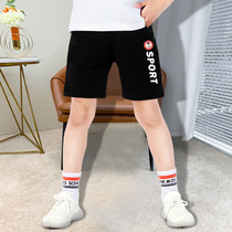 Boy Shorts 2021 new fashion girl baby five points beach pants in children pure cotton breathable pants