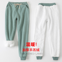 Winter lamb wool padded sweatpants small feet plus velvet casual pants loose Harlan pants big size cotton trousers women