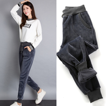Fall and Winter plus thickening sweaters female velvet loose thin yard wear small feet casual Harlen cotton pants