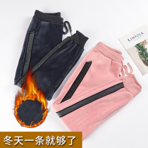Halon pants female autumn and winter student double-sided fluff feedback pants Golden velvet loose casual Harlen pants
