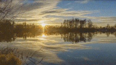 ps插件PR/AE/LR全天插件合集磨皮美白抠图抠像降噪转场字幕粒子模板调色 31000个ps/PR/AE/LR CC2020 全套插件合集