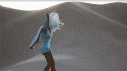 ps插件PR/AE/LR全天插件合集磨皮美白抠图抠像降噪转场字幕粒子模板调色 31000个ps/PR/AE/LR CC2020 全套插件合集