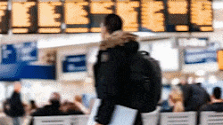 ps插件PR/AE/LR全天插件合集磨皮美白抠图抠像降噪转场字幕粒子模板调色 31000个ps/PR/AE/LR CC2020 全套插件合集