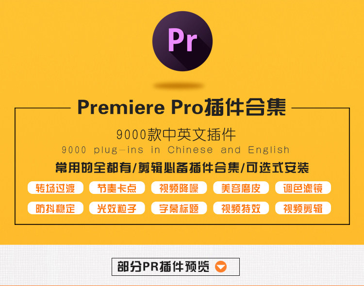 ps插件PR/AE/LR全天插件合集磨皮美白抠图抠像降噪转场字幕粒子模板调色 31000个ps/PR/AE/LR CC2020 全套插件合集
