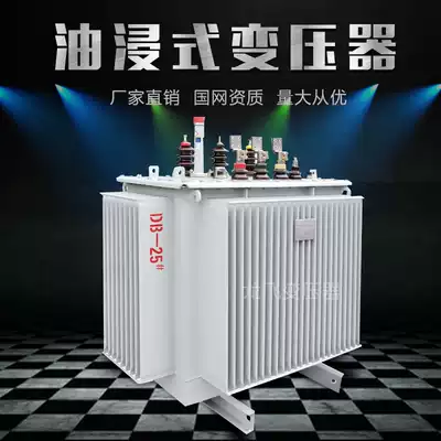 10 kV oil-immersed power transformer S11 type 250 kVA 315 400 500 630 1000KVA