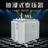 10kV oil-immersed power transformer S11 100kVA 125 160 200 250 315KVA