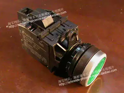 Tianyi TAYEE with light button Phi 22 green 1NONC TUV CE LA42PD-11 AC DC24V G