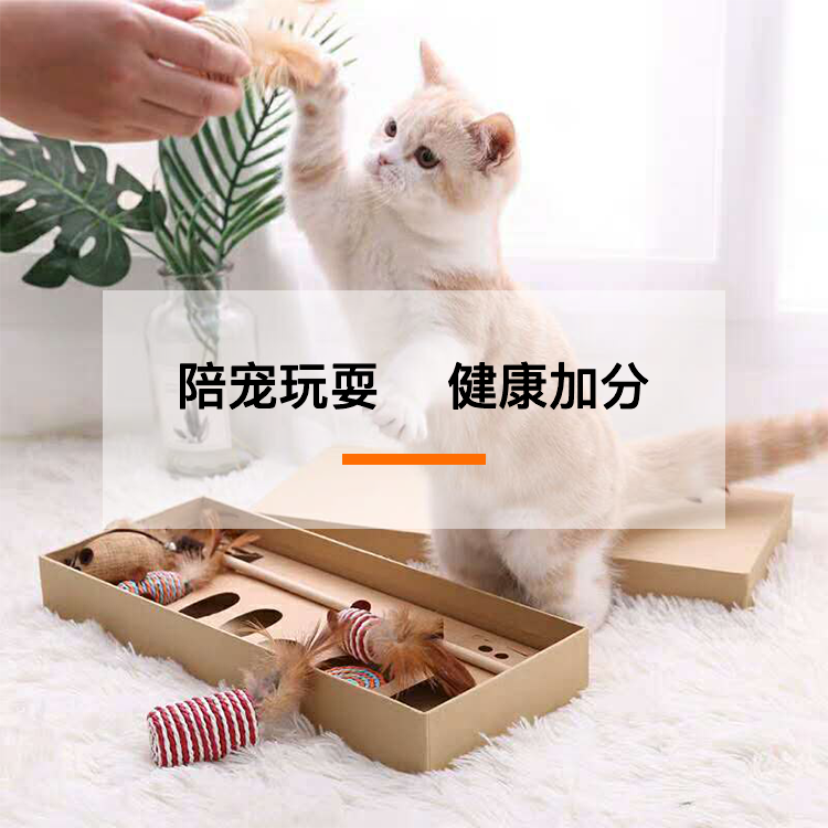 北京人别慌！宠物托管新姿势，上门喂猫遛狗太香了！