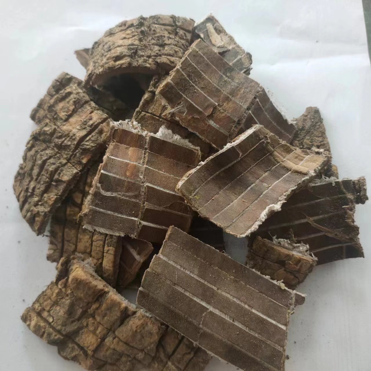 杜仲片拍2件包邮,川杜仲生杜仲厚皮500克g中药材,非盐杜仲炒杜仲——传统养生的秘密武器!-杜仲-淘宝百科网