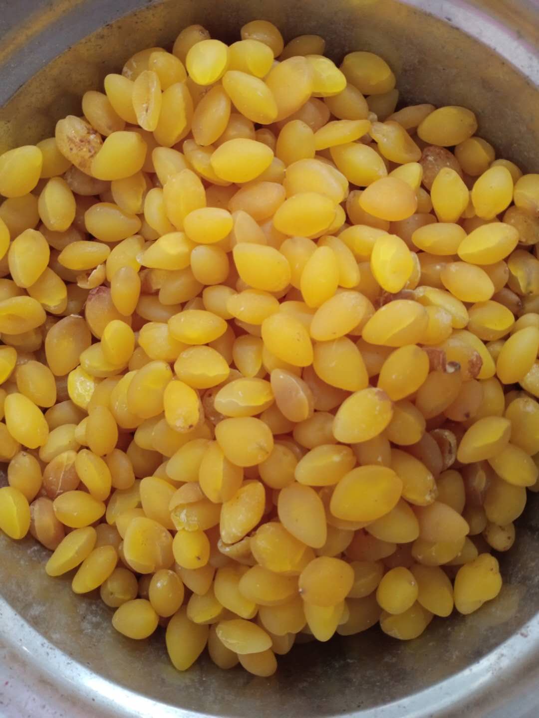 White fruit meat 3 pounds raw white fruit ginkgo biloba fruit Chinese herbal medicine White fruit kernels 500g grams 13 yuan