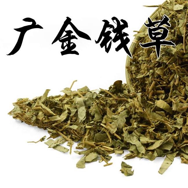 Large Leaf Gold Money Grass 3 Catty of Vast Gold Money Grass Herbs herbs Lido 500g grams of herbal medicine