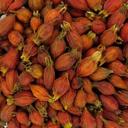 Get Gardenia 3 Pieces Free Shipping Gardenia Yellow Gardenia Fresh Red Desktop Wallpaper Free Get Wallpaper Gardenia 3 Pieces Free Shipping Gardenia Yellow Gardenia Fresh Red Desktop Wallpaper