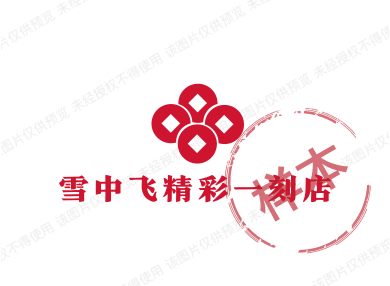雪中飞精彩一刻店