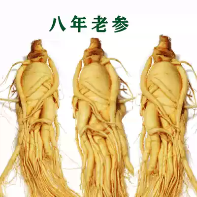 (Buy 5 get 5) Jilin Changbai Mountain whole fresh ginseng fresh ginseng wild ginseng wine soup nourishing Hotel