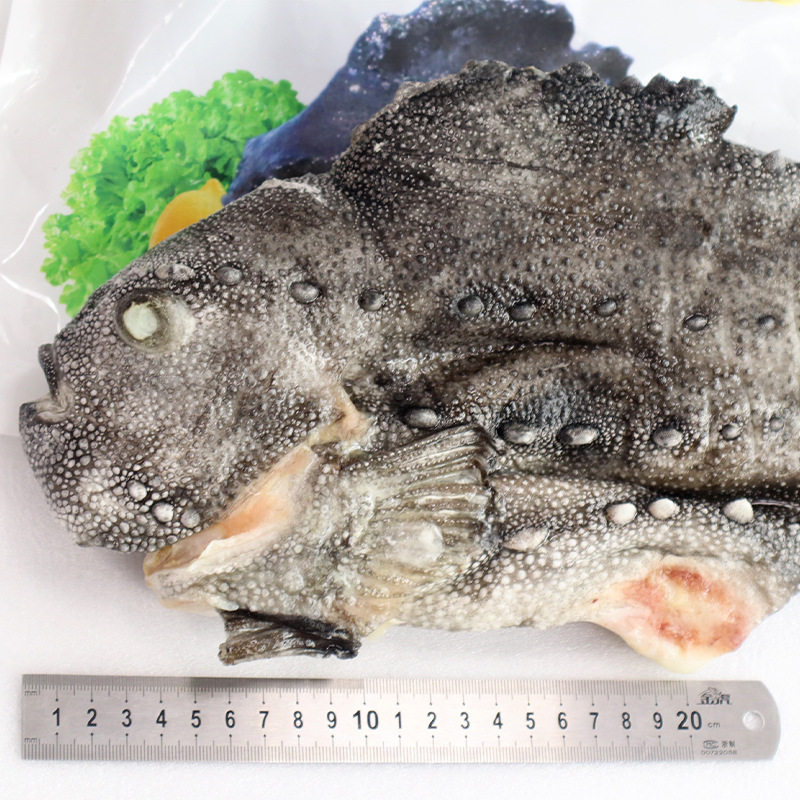 野生三去石斑鱼冷冻水产怎么样?适合红烧清蒸吗?
