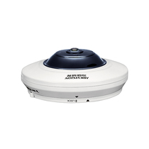 Original Hikvision DS-2CD2935FWD-IWS 3 million H 265 panoramic network camera POE