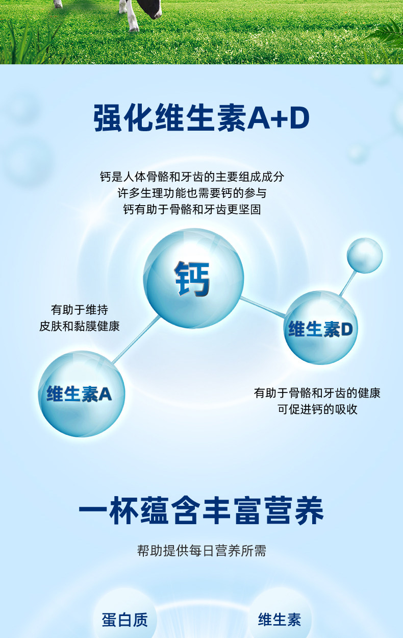 新西兰进口 安佳 成人全脂奶粉 900g*2罐 图5