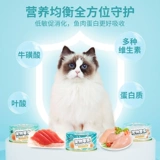 Sensen Jialu Cat Conned White Meat High Soup Water Pudemempment Tank Snacks Nutrition в котят, чтобы увеличить жирную пищевую сумку 24 банки