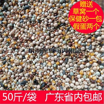 Small corn Small grain corn pigeon food 50 kg pigeon food Guangdong bird food carrier pigeon meat pigeon free mail feed