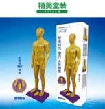 15 -Year -Sold Shop Ten Colors Бесплатная доставка прозрачно