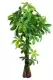 Mô phỏng chậu cây mô phỏng cây xanh nhựa cây hoa cây giả sàn phòng khách lớn may mắn trang trí cây - Hoa nhân tạo / Cây / Trái cây chậu hoa giả đẹp