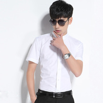  Summer thin mens slim short-sleeved stand-up collar shirt five-point sleeve round neck shirt youth Zhongshan small collar half-sleeved shirt