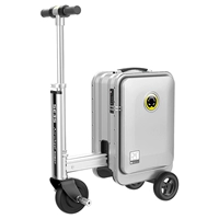 SE3S Silver (автоматическая телескопическая)