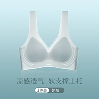 【Жилетный тип】 молоко серого